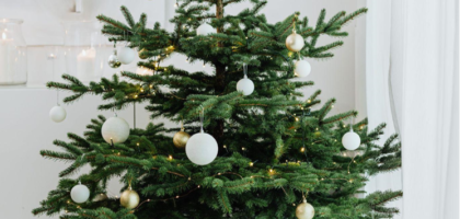 Choosing a 9-Foot Christmas Tree for Your Home