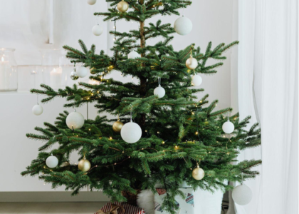 Choosing a 9-Foot Christmas Tree for Your Home