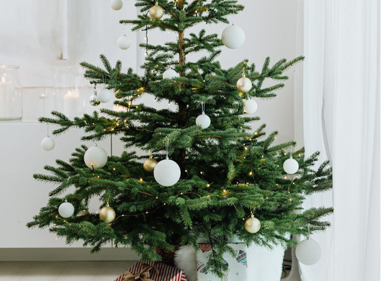 Choosing a 9-Foot Christmas Tree for Your Home