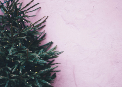 Your Holidays with a Pink Christmas Tree