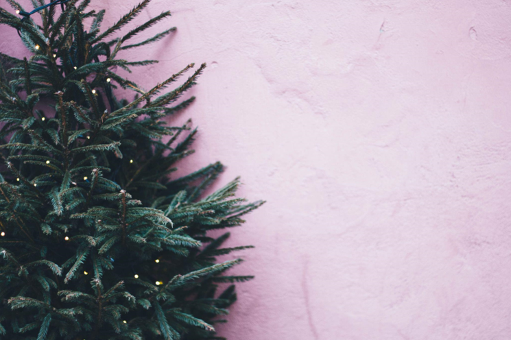 Your Holidays with a Pink Christmas Tree